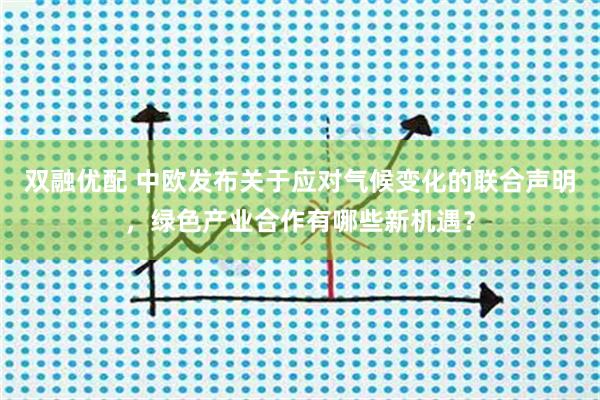 双融优配 中欧发布关于应对气候变化的联合声明，绿色产业合作有哪些新机遇？
