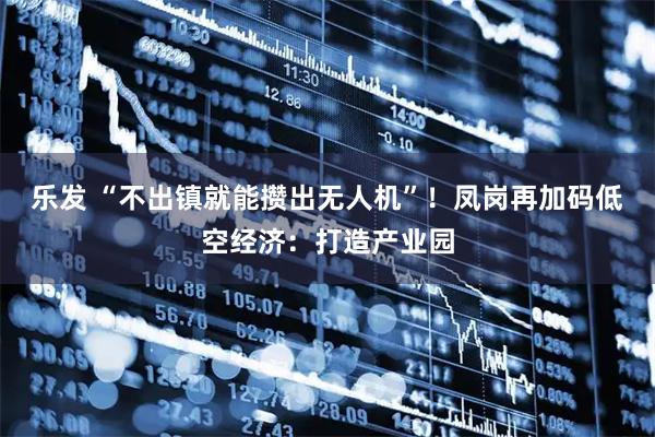 乐发 “不出镇就能攒出无人机”！凤岗再加码低空经济：打造产业园
