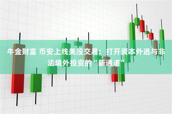 牛金财富 币安上线美股交易：打开资本外逃与非法境外投资的“新通道”