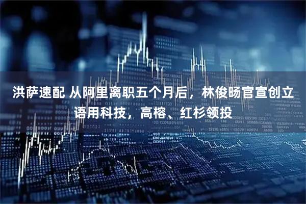 洪萨速配 从阿里离职五个月后，林俊旸官宣创立语用科技，高榕、红杉领投