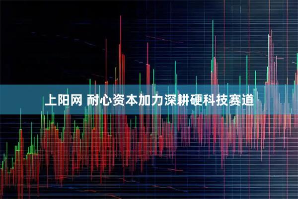 上阳网 耐心资本加力深耕硬科技赛道